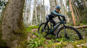 tendencia en el mercado mtb